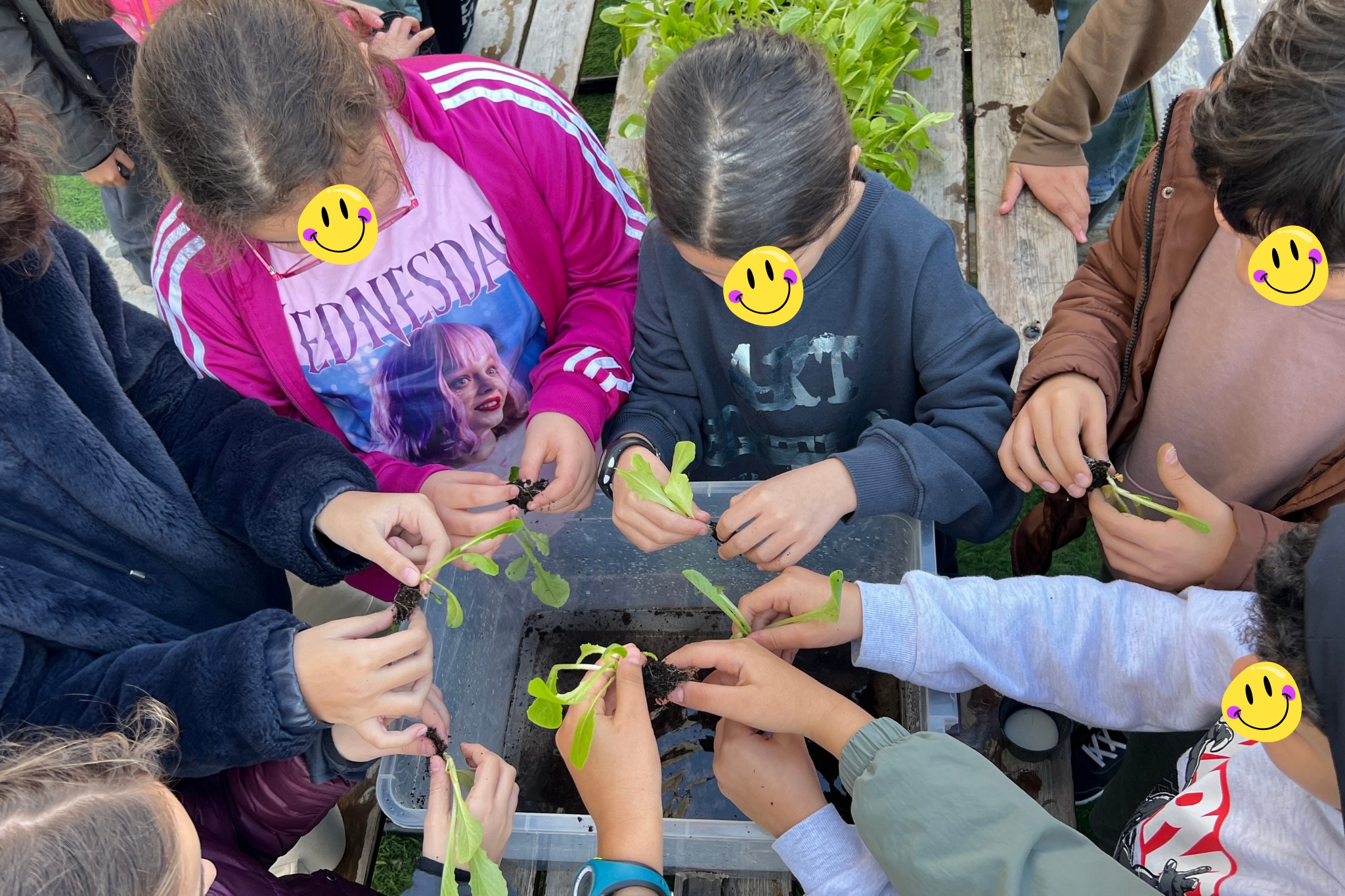 Lire la suite à propos de l’article Inauguration du potager hydroponique au GSRD Lac 2 🌱🌱