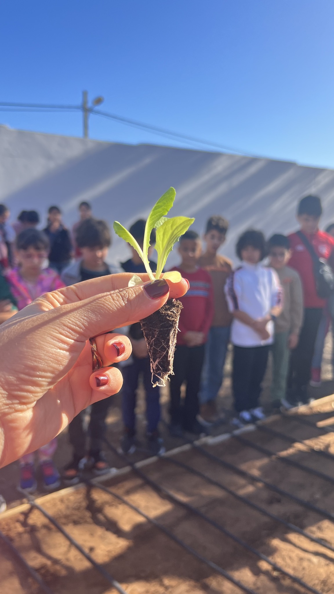 Lire la suite à propos de l’article Une journée riche en apprentissages et en émotions 🌍🌱